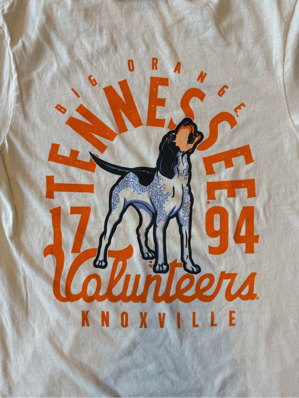 Comfort Colors Tennessee Volunteers Big Orange Dog Graphic Tee - Ivory/Orange
